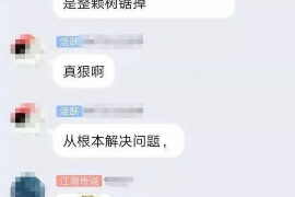 枣阳融资清欠服务